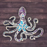 octopus-cosmic